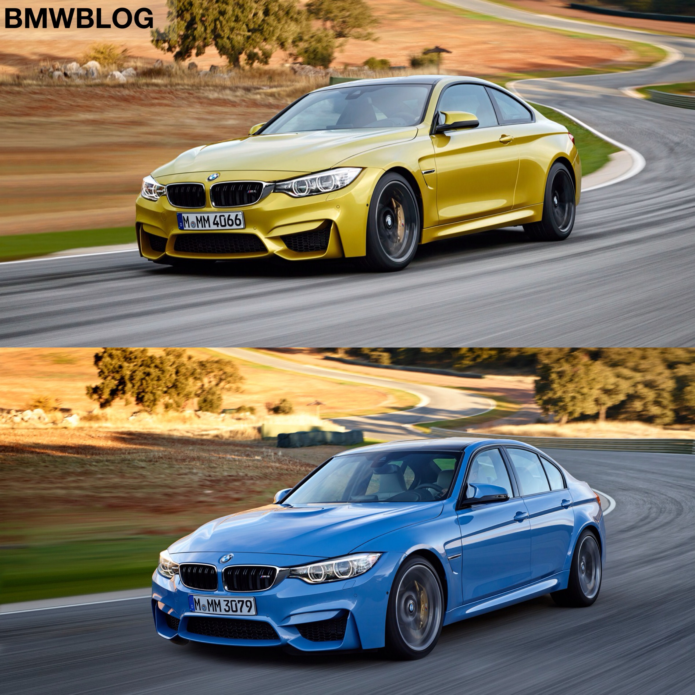 F82 M4 o F80 M3