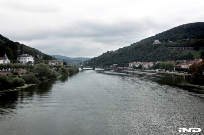 6185470191 6c542936de b 655x436