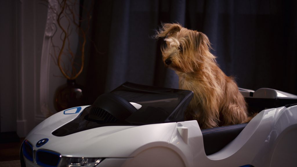 BMW lanza la cesta para perros dDrive