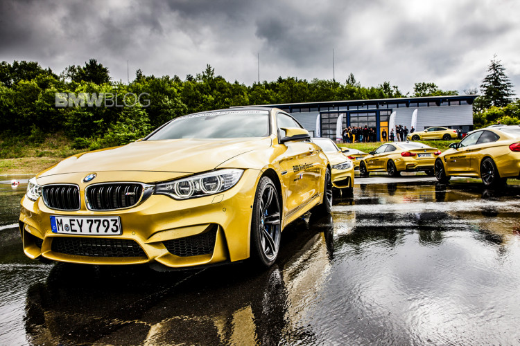 bmw m festival 2014 23 750x500