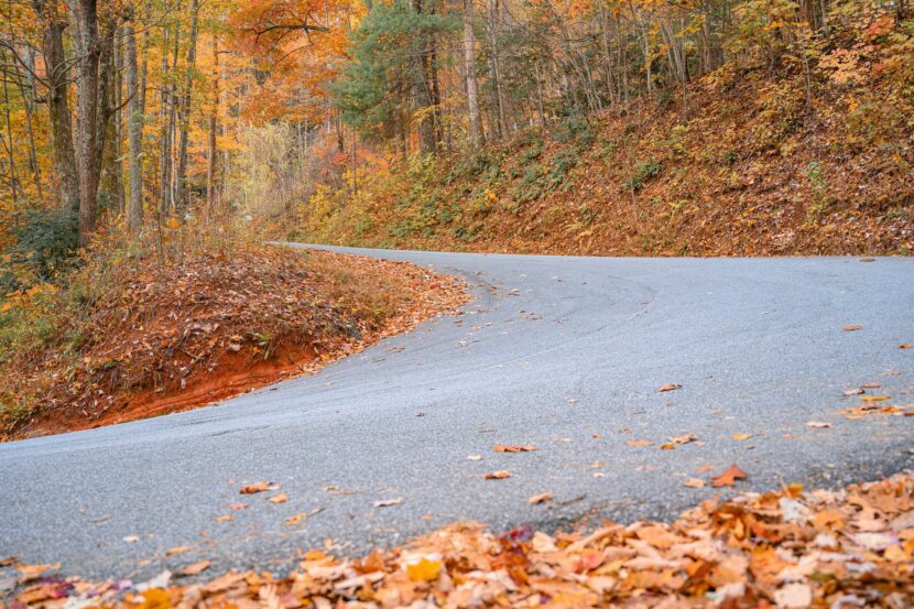 foto carretera otoño 00 830x553